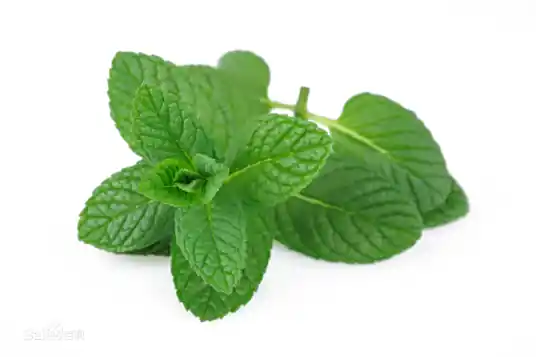 薄荷