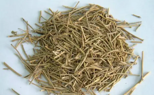 麻黄
