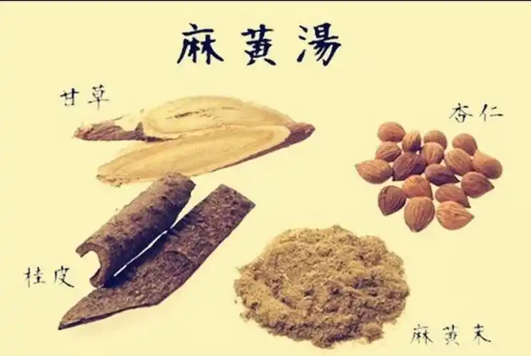 麻黄汤